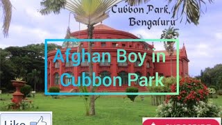 Bangalore INDIA city tour 2022 |  4k HDR Virtual Walking around Cubbon Park | Bangalore Summer