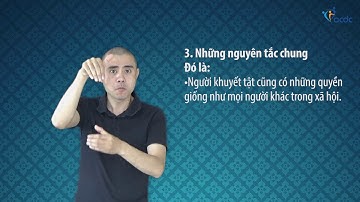 Công ước quốc tế về Quyền của người khuyết tật - Điều 3.3, Những nguyên tắc chung