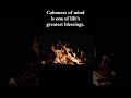 1000 Rules of Life | Motivation & Wisdom Quotes to Change Your Day
