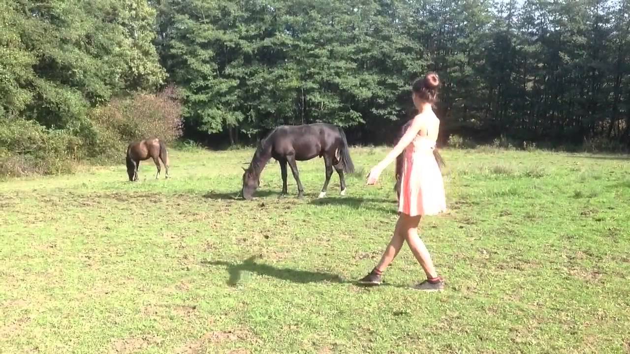 Privatgestüt Möningerberg - Breeding of Andalusian