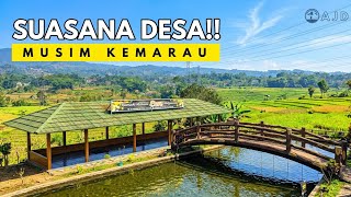 TETAP INDAH!! SUASANA DESA YANG MULAI KEKERINGAN