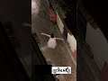الموضوع خارج عن السيطرة 