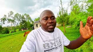 3M Budget! Which Kind of a House will you Build with a Budget of 3M?? Cost of a Three Bedroom House