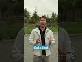 ¿Por qué Soledad Onetto eligió un Volvo eléctrico? | EX30 en Chile