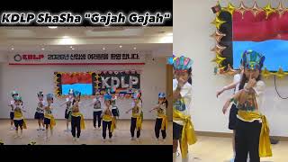 Kdlp Theme Day International Day Shasha Class