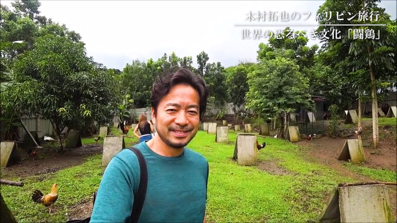 閲覧注意 心臓が悪い方は見ないでください 日本にはないフィリピンの娯楽 闘鶏 Youtube 閲覧注意 心臓が悪い方は見ないでください 日本にはないフィリピンの娯楽 闘鶏 Youtube