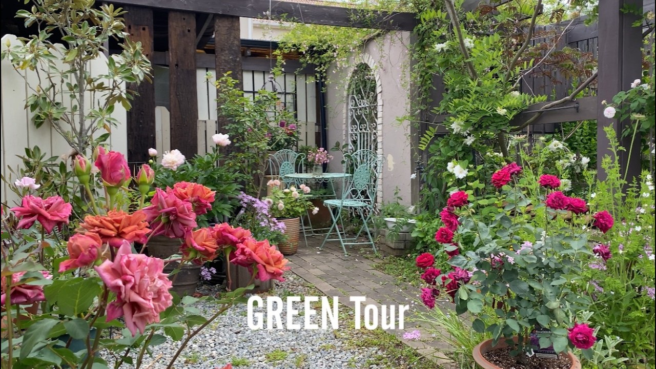 みんなの憧れのお庭は薔薇もクレマチスも宿根草も雑誌「Garden×Garden」に何度も掲載されているお洒落で素敵すぎるお店 | O`sgarden | 園芸/ガーデニング店巡り | 奈良/桜井