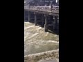台風で増水した鴨川 京都