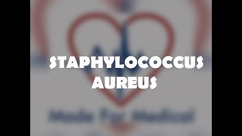 Staphylococcus Aureus - MadeForMedical