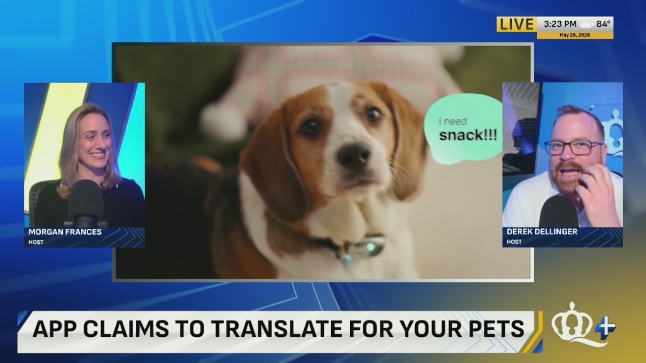Chinese AI company launches “95% accurate” pet translator - YouTube