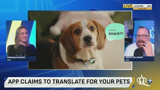 Chinese AI company launches “95% accurate” pet translator