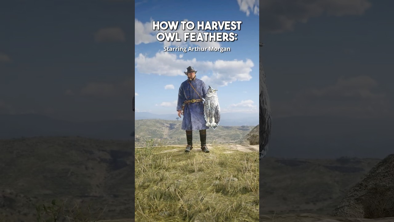 RDR2 - How to Harvest Owl Feathers 
