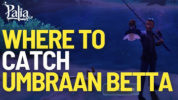 Where to Catch the Umbraan Betta Fish in Palia