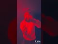 فرافير التيك توك 