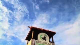 Visit the Chattanooga Zoo
