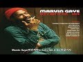 Marvin Gaye(마빈게이) - Let&#39;s Get It On 가사 한글 자막 해석 번역