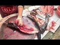 Big Catfish Cutting & Cleaning Process | Fresh Fish Market Skills 🐟
