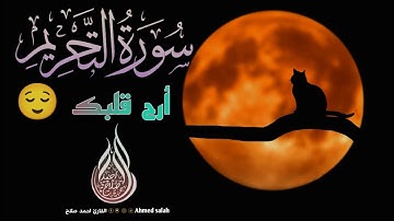 ما تيسر من سوره ( التحريم ) أرح قلبك 😌🎧 بصوت هادئ... هدوء الليل 🤗 للقارئ احمد صلاح