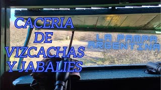 Cacería de Vizcachas y Jabalíes en La Pampa. Argentina. Free Range. Big Game. Wild Boar.