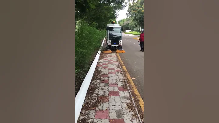DULEVO 850 MINI CLEANING INDIAN ROADS - DayDayNews