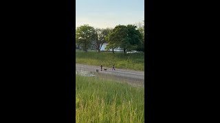 Michigan State Police investigate freeway shooting on I-94 in Detroit. 1 person was wounded.