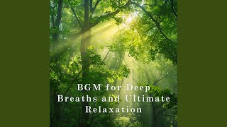 Path to Gentle Stillness