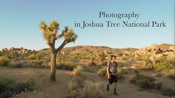 Photographing the Milky Way in Joshua Tree National Park Part 1
