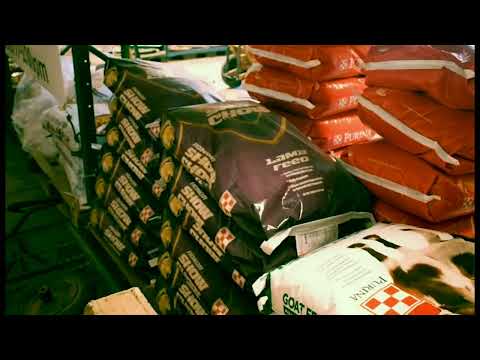 KPVM News 25 - A Southern Nevada News Network