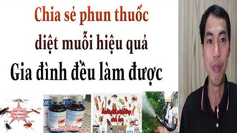 chia sẻ phun thuốc diệt muỗi hiệu quả tại nhà
