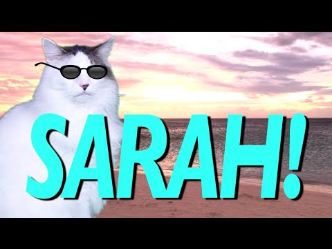 happy-birthday-sarah!---epic-cat-happy-birthday-song