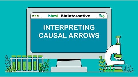Interpreting Causal Arrows
