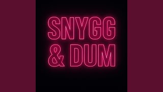 Snygg \u0026 Dum