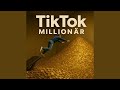 Tik Tok Millionär