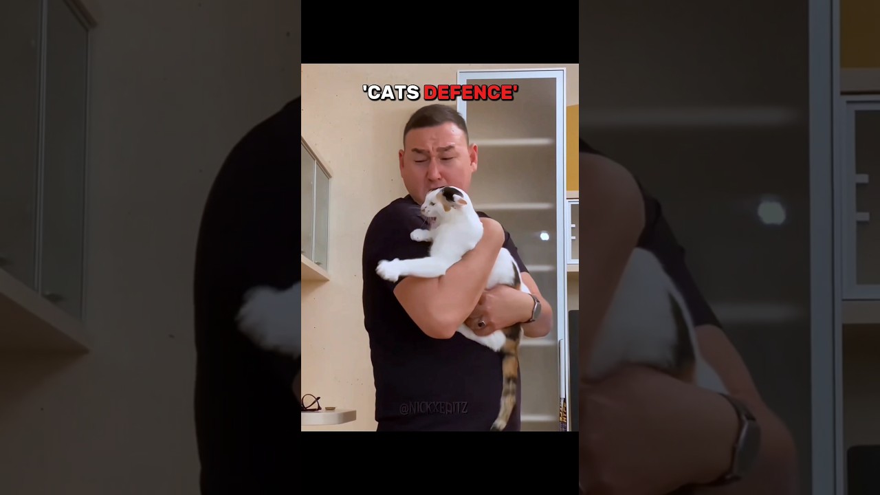 Last cats defence is crazy..💀🗿