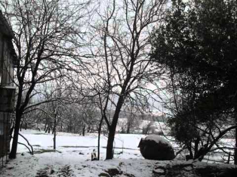 გახსოვდეს