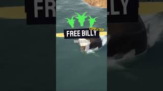 Freeing Billy the Whale in Goat Simulator 3!