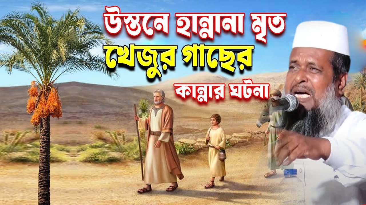 নবীজির জন্য উস্তুনে হান্নানা একটি খেজুর গাছের কান্নার ঘটনা । তোফাজ্জল হোসেন ভৈরবী । tofazzal hossain