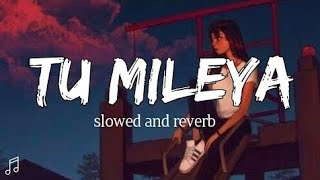 Darshan Raval / Tu Mileya Song🎶 Version🌸(Slowed+Reverb)🍂🖇️ 🎶 💕😔 🎶