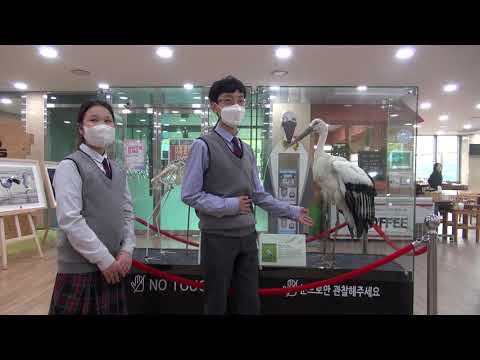 광시티비 - 광시면 황새의 꿈 다큐 노컷 편집본 2