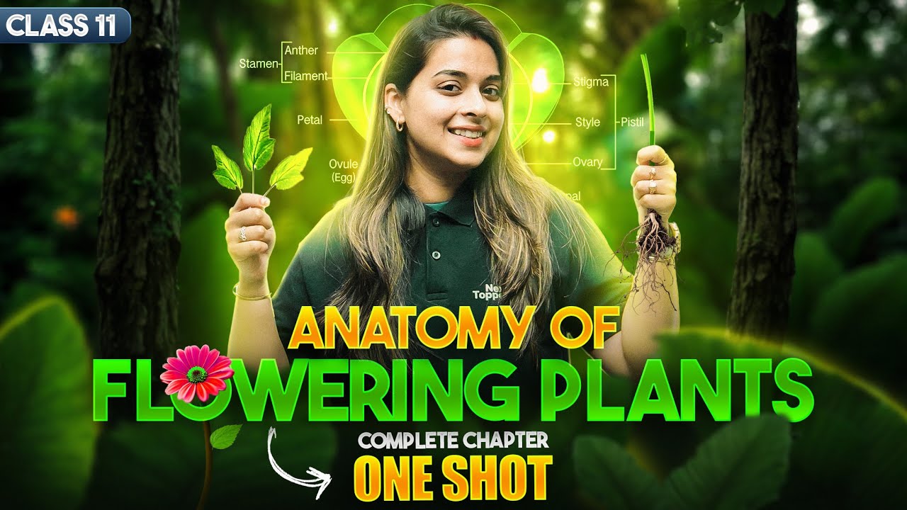 Anatomy of Flowering Plants Class 11 One Shot | NCERT Biology Full Chapter Revision | CBSE 2025-26