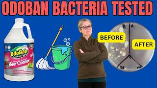 OdoBan No Rinse Floor Cleaner Bacteria Tested!