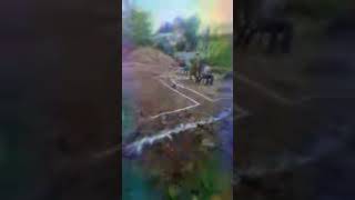 Highlight 000  144 From Bluarch Pvt Ltd Is 