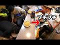 見たことない食べ方して普通に怒られる客