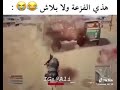 هثي الفزعه ولا بلاش