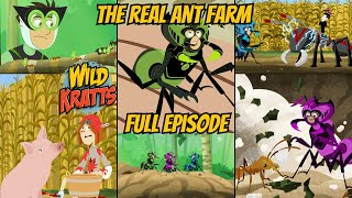Wild Kratts S06E05 - The Real Ant Farm (Full Episode)