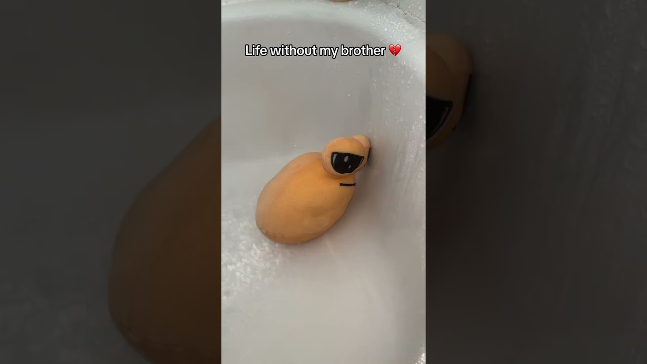 I Love My Brother… 