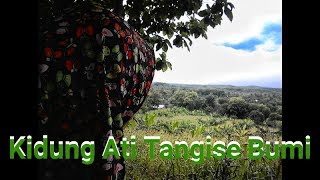 Download Lagu KIDUNG ATI TANGISE BUMI || SHOLAWAT MP3 Download Lagu KIDUNG ATI TANGISE BUMI || SHOLAWAT MP3