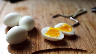 Basic Soft Boiled Egg