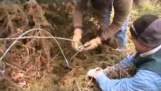 Cedar Tree Revetment Video