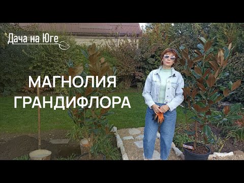 Дача на Юге